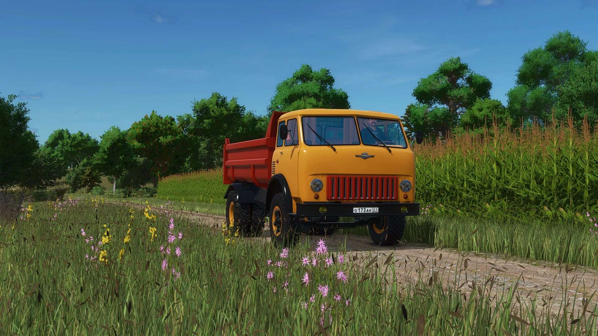 01.jpg