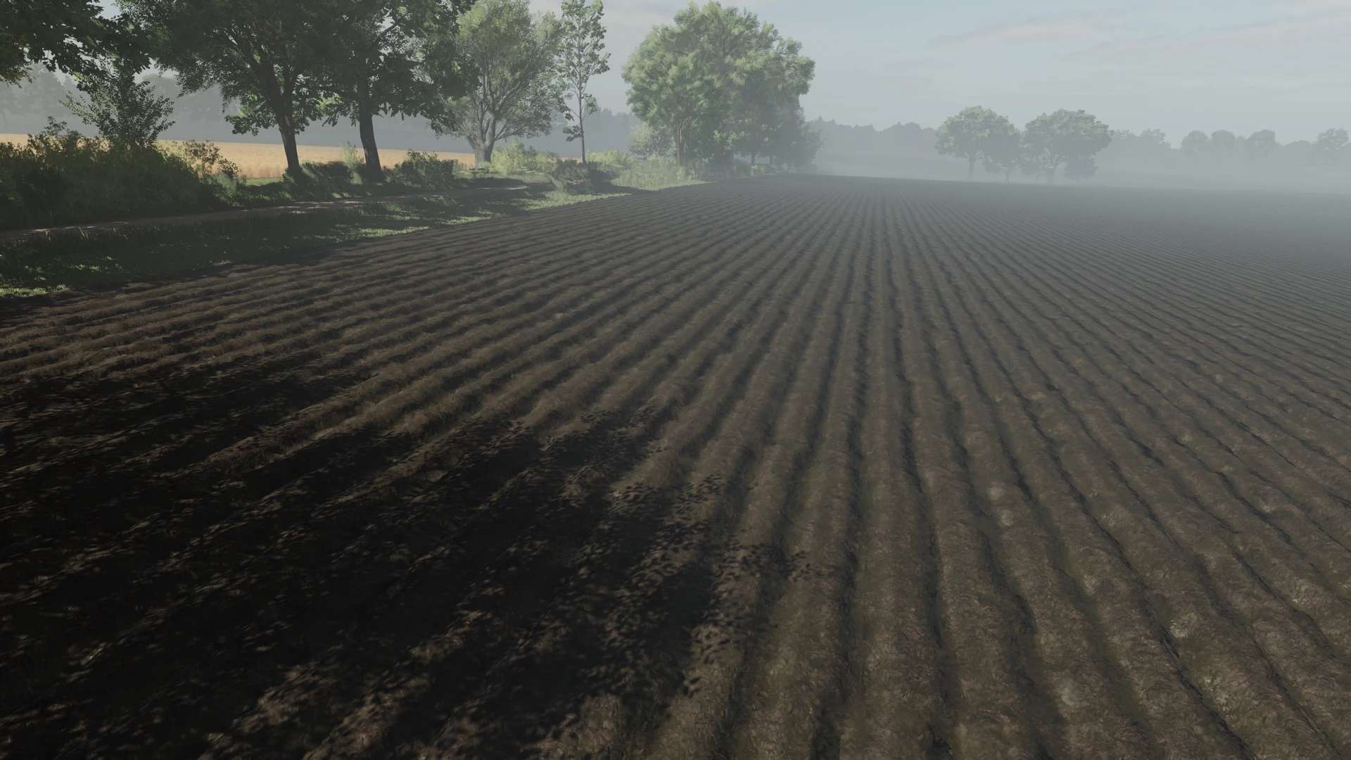 01.jpg