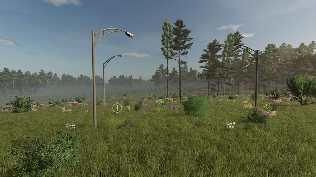 01.jpg