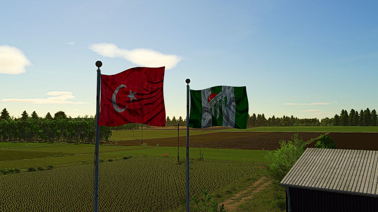 01.jpg