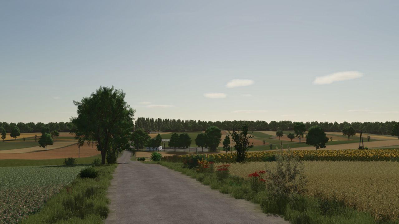 01.jpg