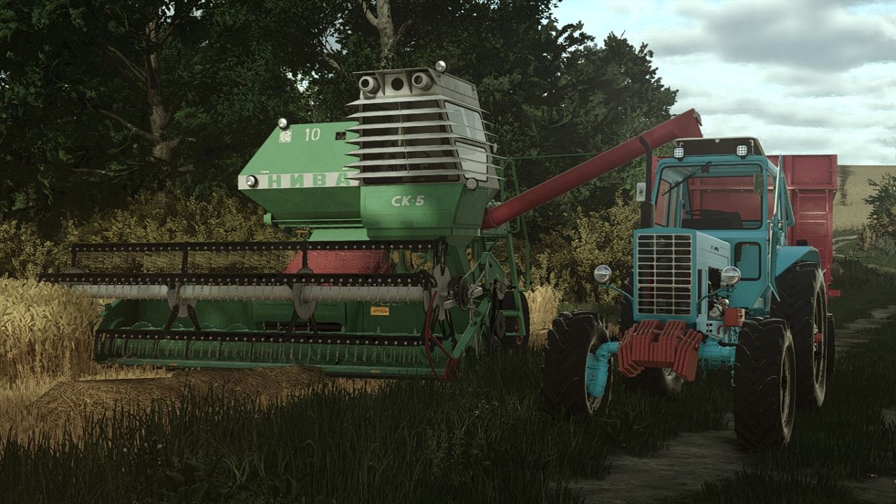 01.jpg