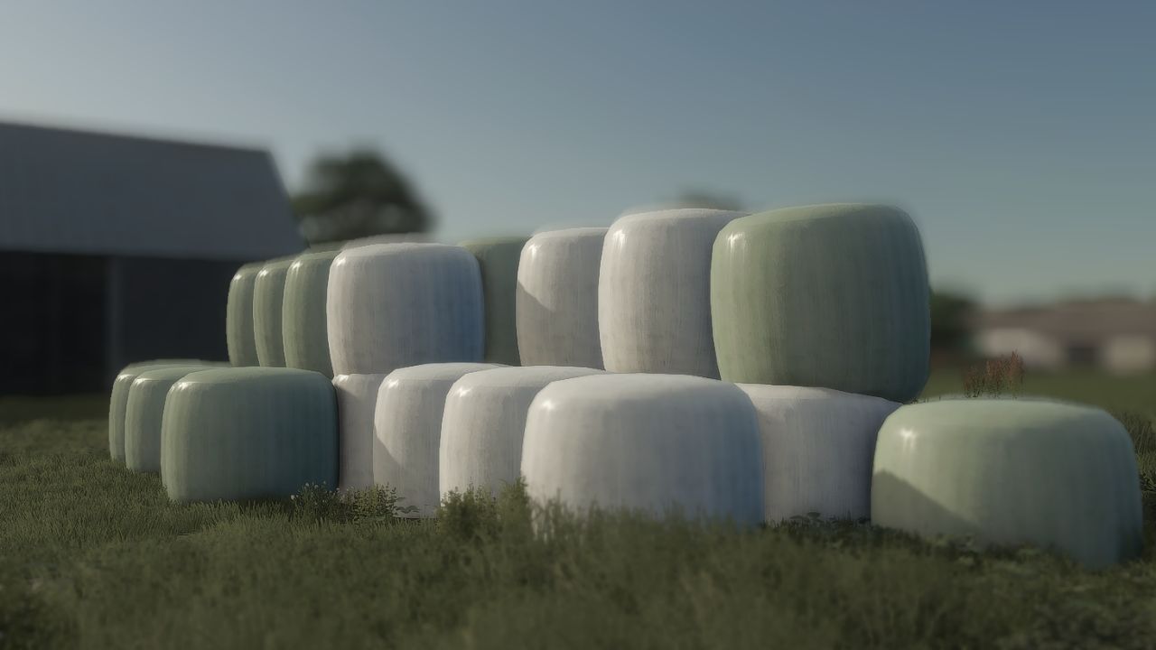 01.jpg