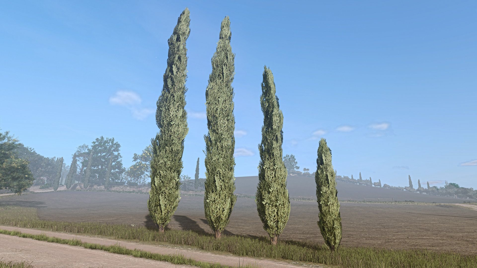 01.jpg
