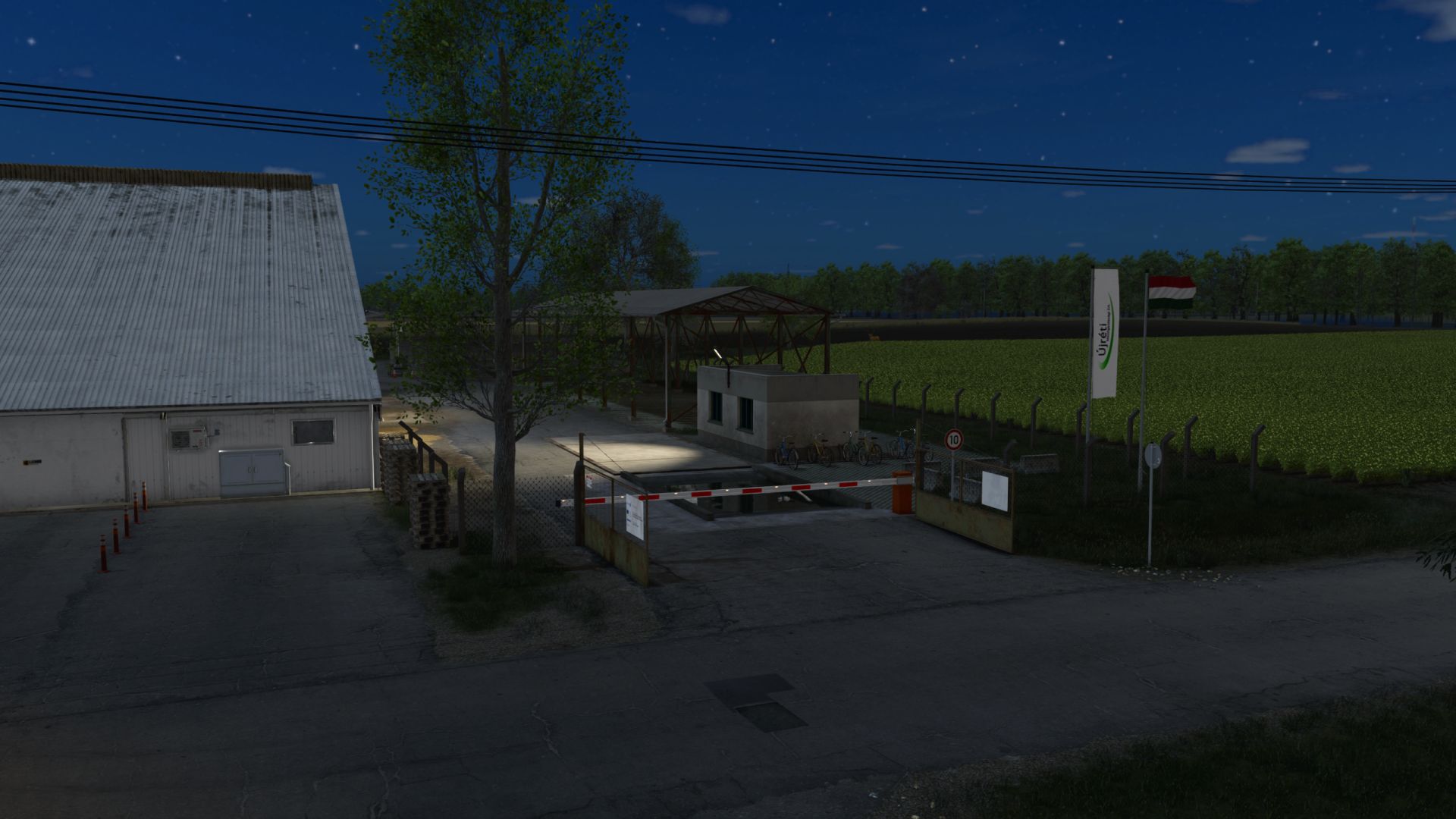 01.jpg