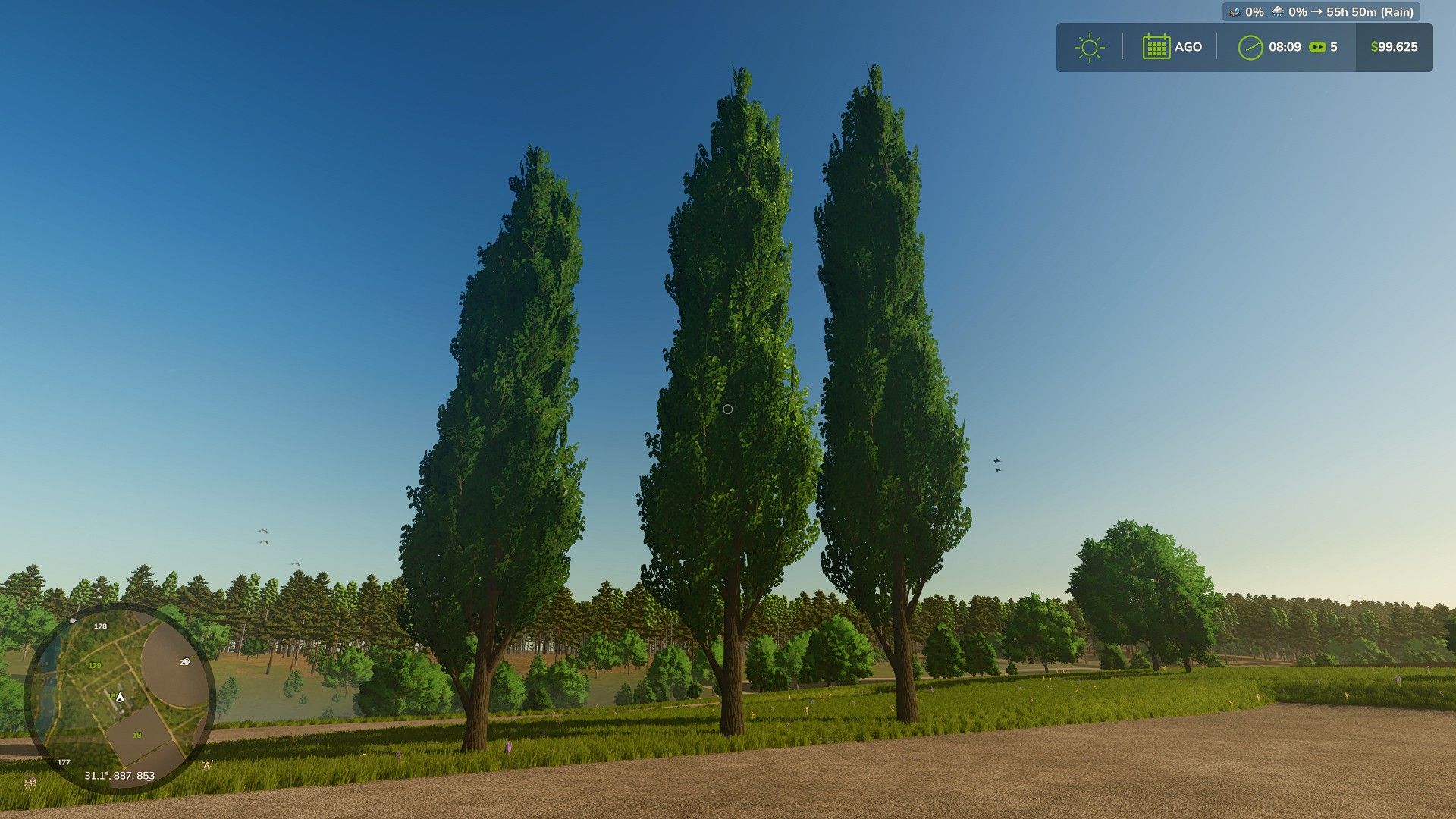 Black poplar (tree) V1.0