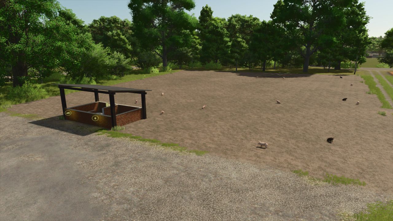 01.jpg