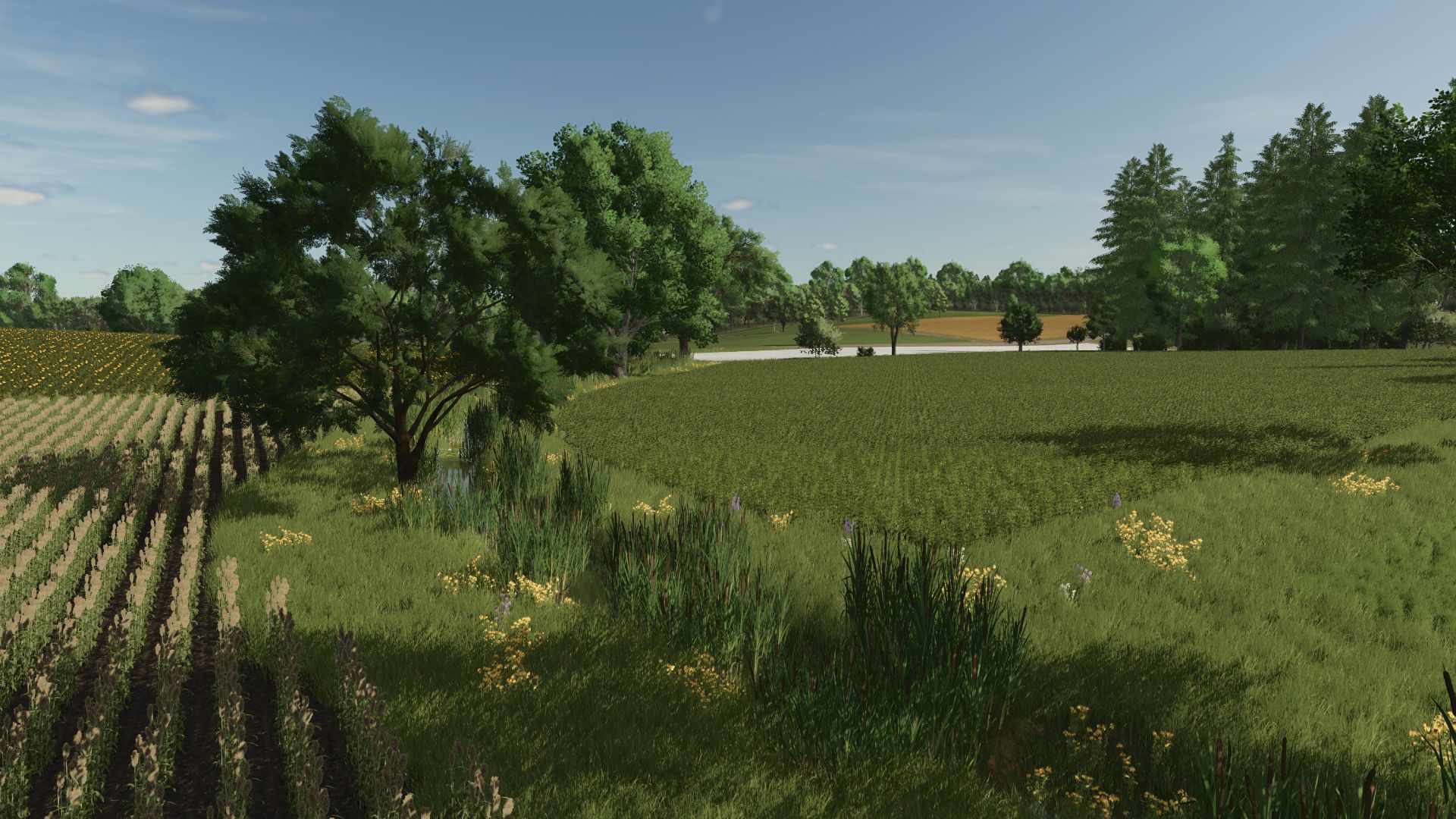 Altenbach V1.2