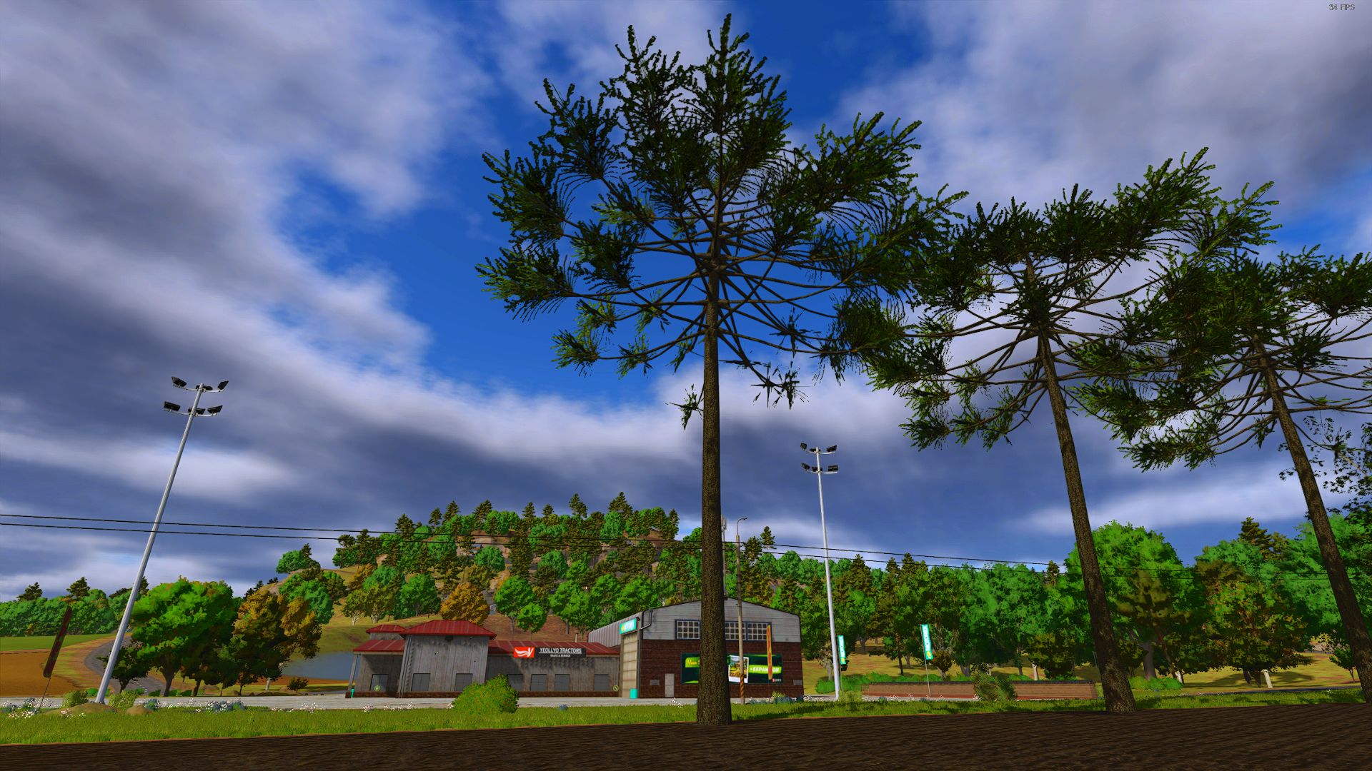 araucaria-v1.0.0.1-1.jpg
