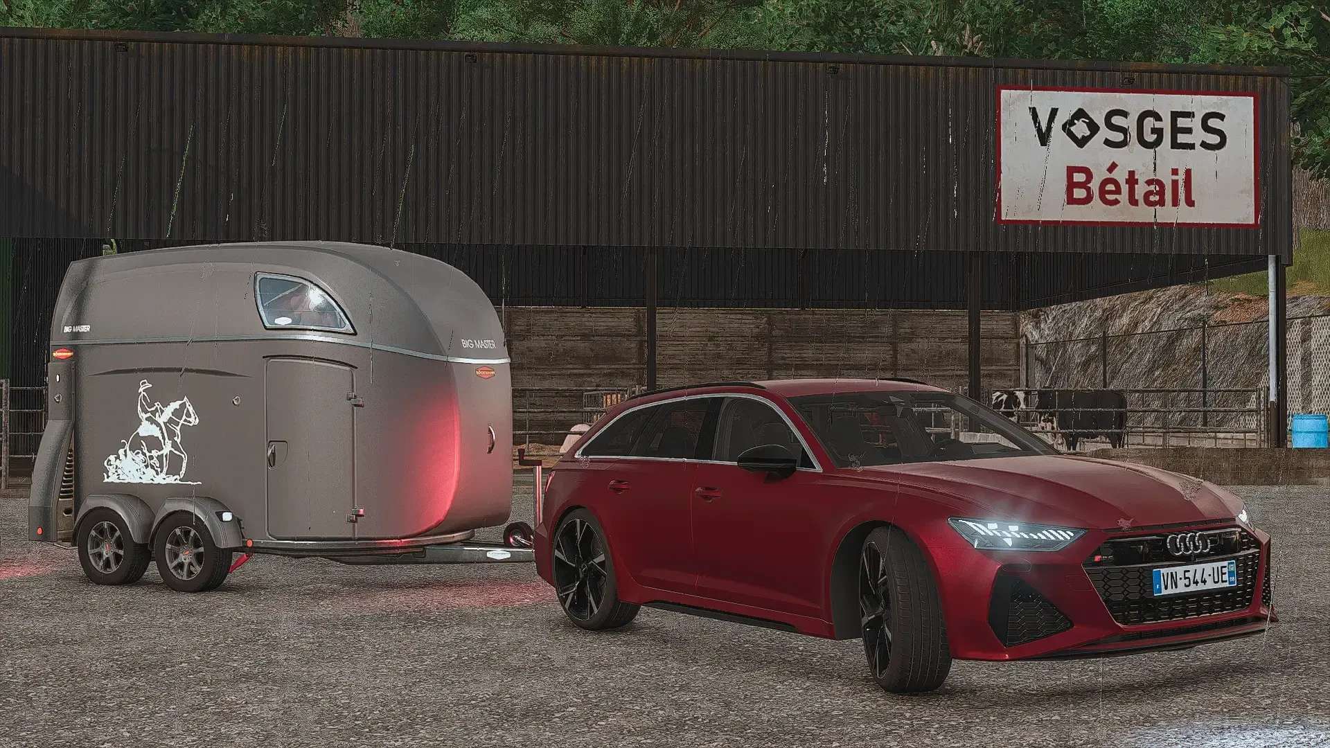 Audi RS6 Avant C8 v1.0