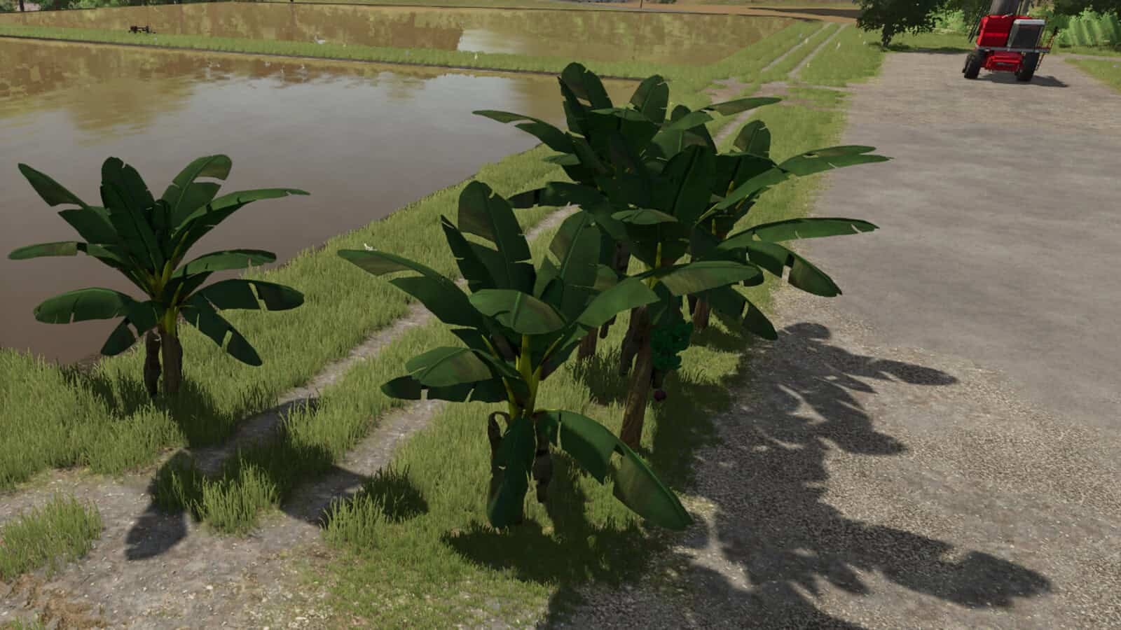 Banana Tree v1.0