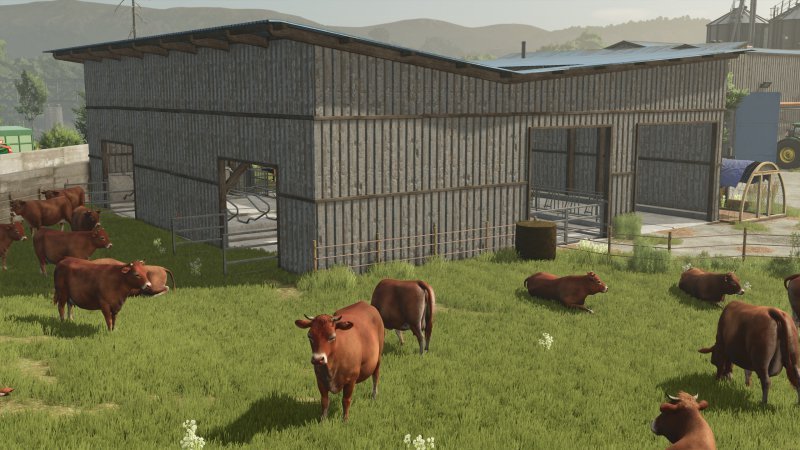 Barn with pasture V1.0