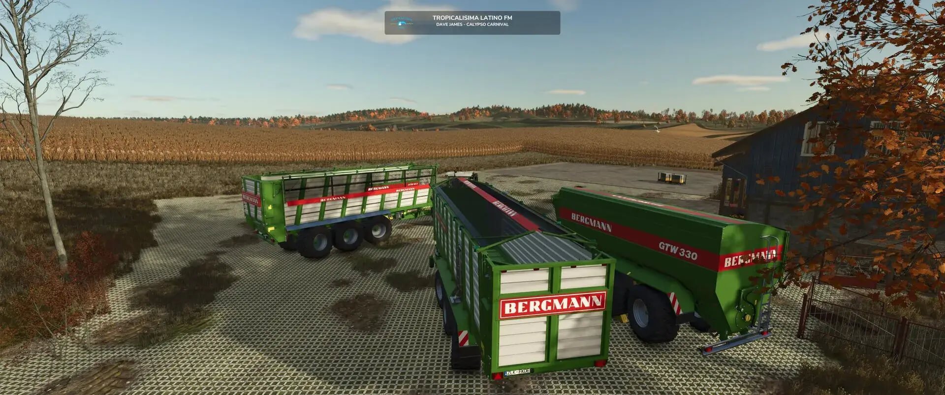 Bergmann Pack V1.0