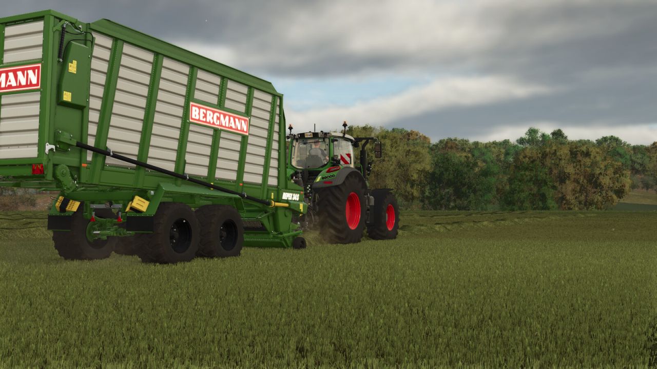 Bergmann Repex 34S V1.0