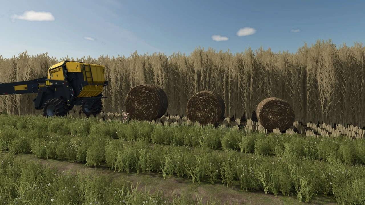 Bigger Biobales v1.0.1