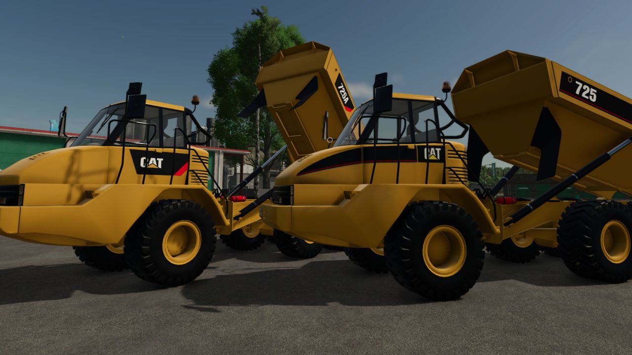 cat-725a-v1.0-1.jpg