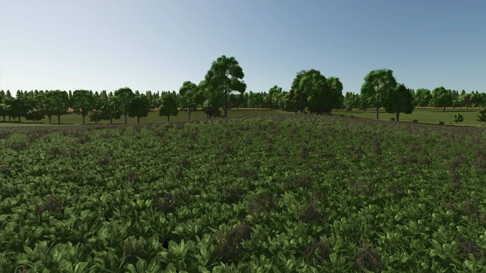 Cheeky Badger Map 4X V1.2.0.1