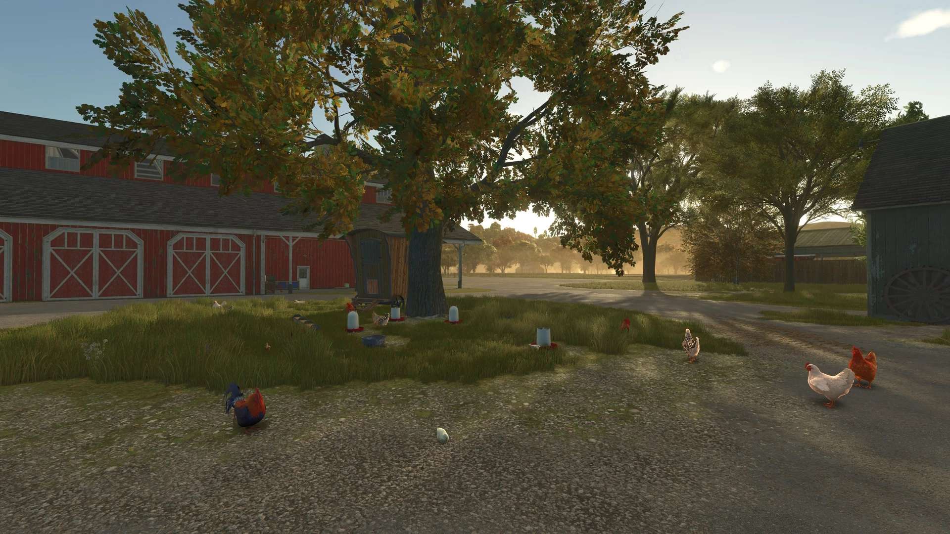 chickens-free-v1.0.0.1-1.jpg
