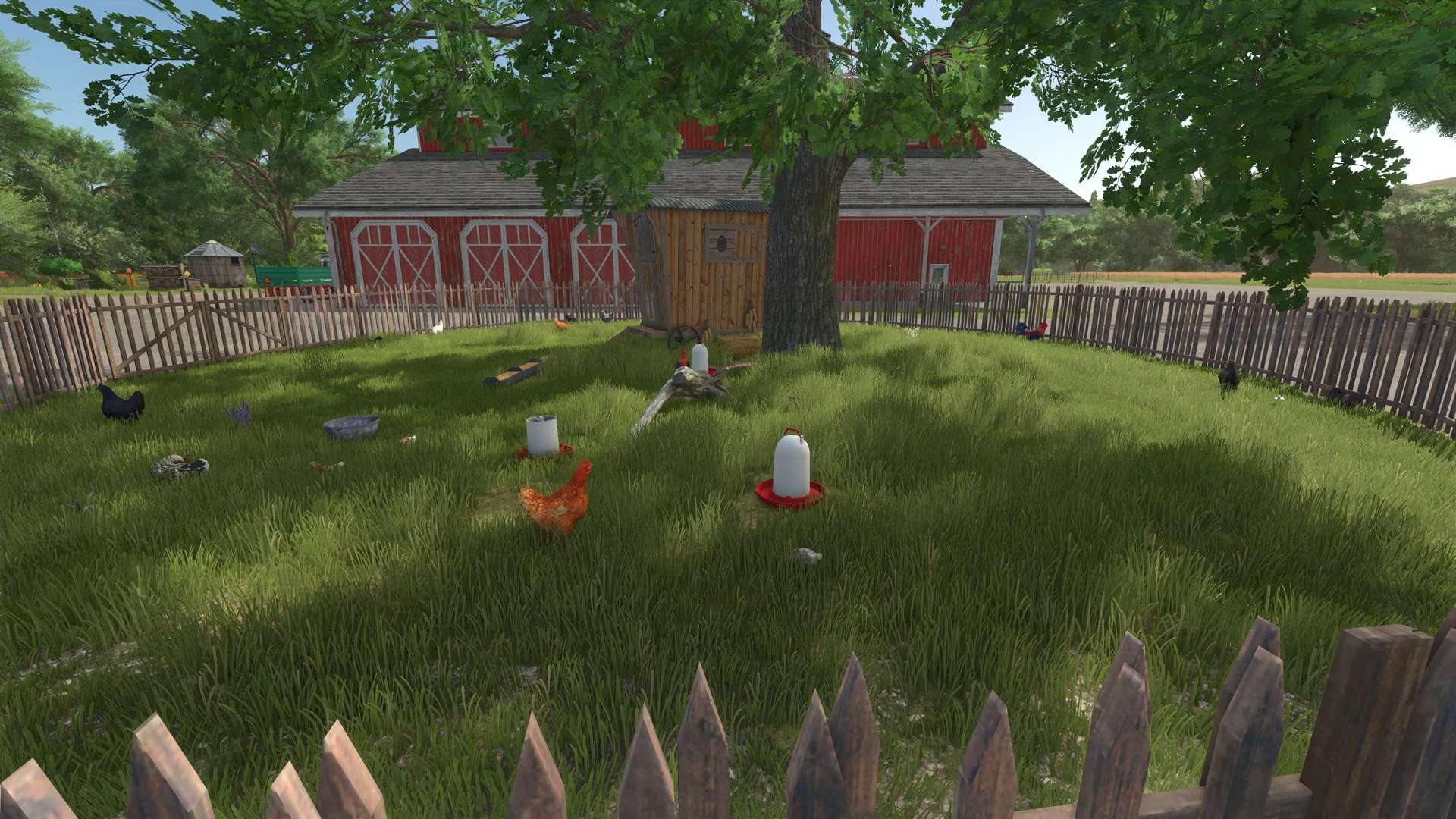 chickens-with-fences-v1.0.0.1-1.jpg