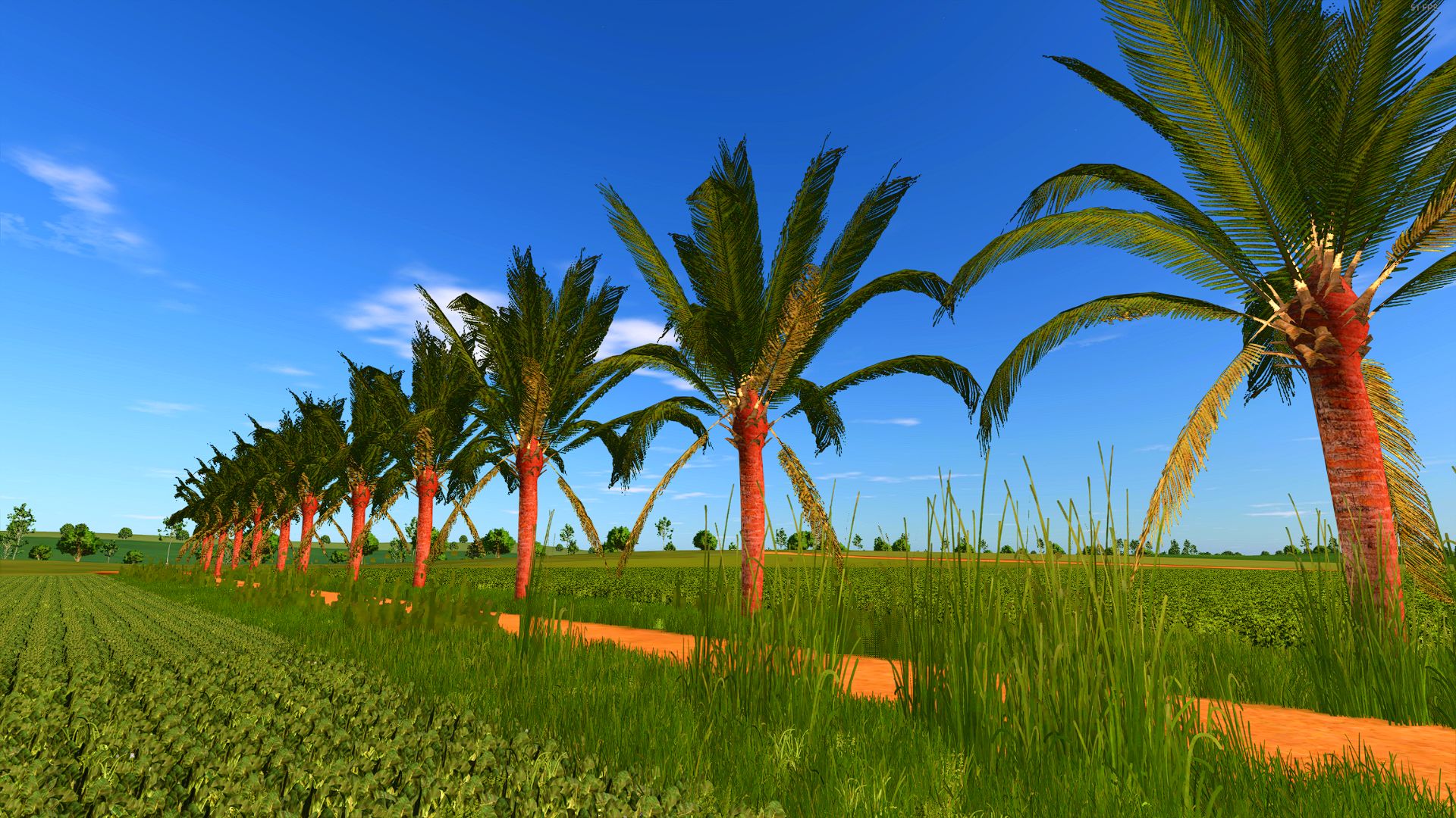 coconut-tree-v1.1-1.jpg