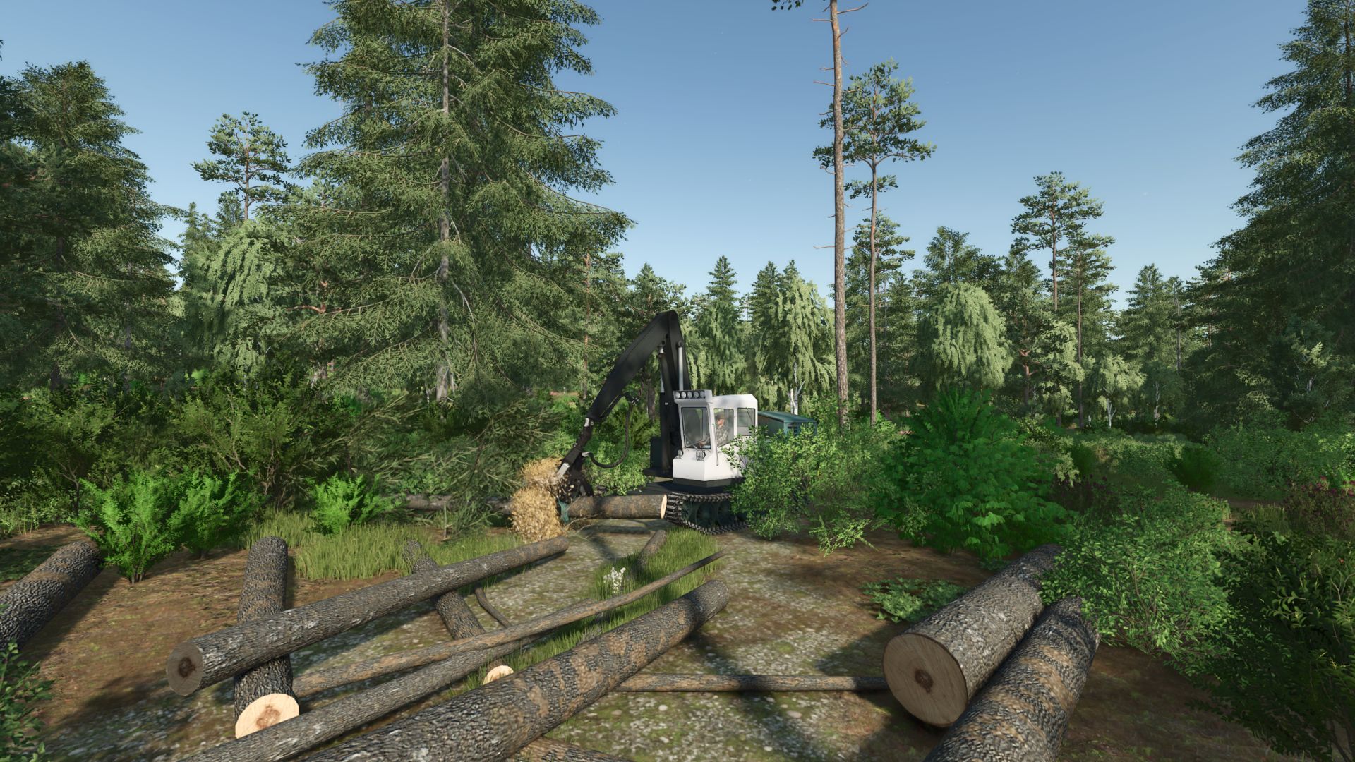 forest-machine-v1.0-1.jpg