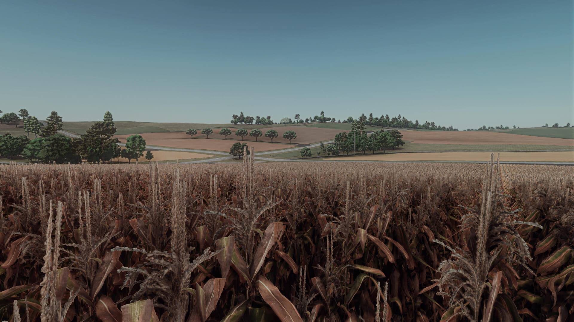 Forest Wisconsin v1.0
