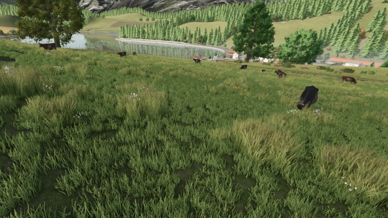 fs22-alpine-map-textures-v1.0-1.jpg
