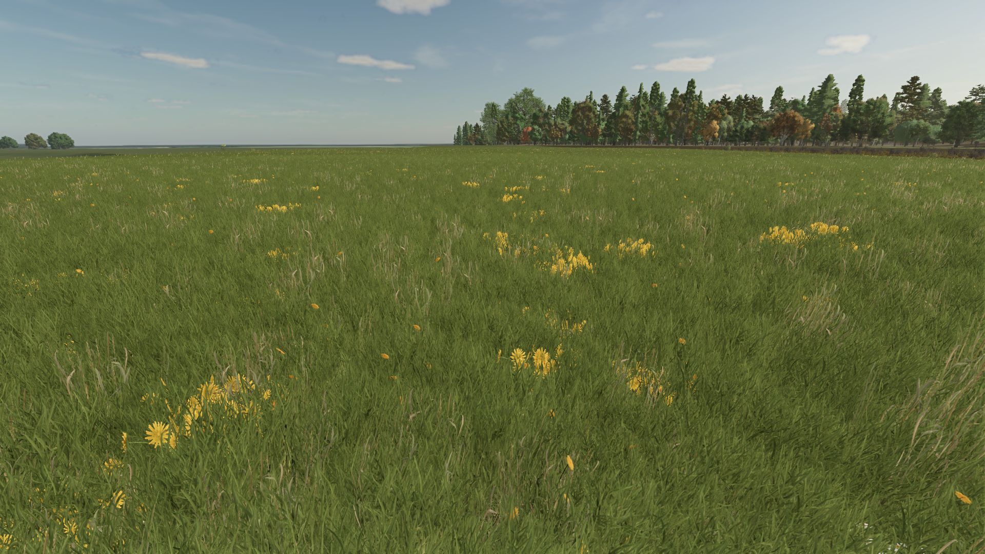 Grass with Dandelions and Daisies V1.0