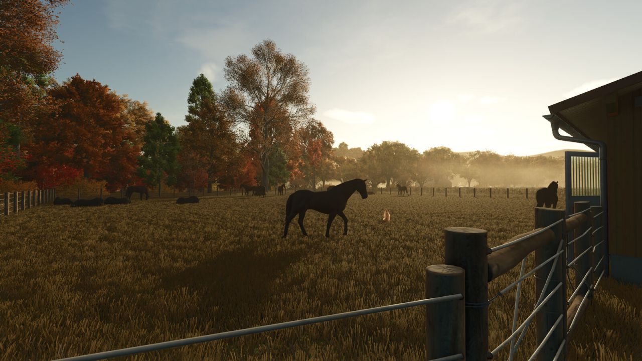 Horse Care Manager V1.1