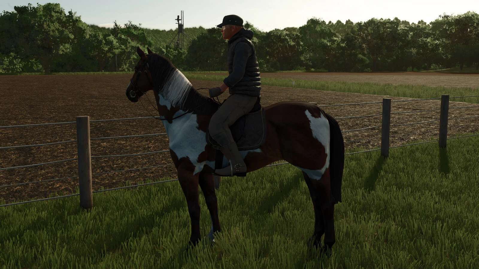 HorseHelper v1.0