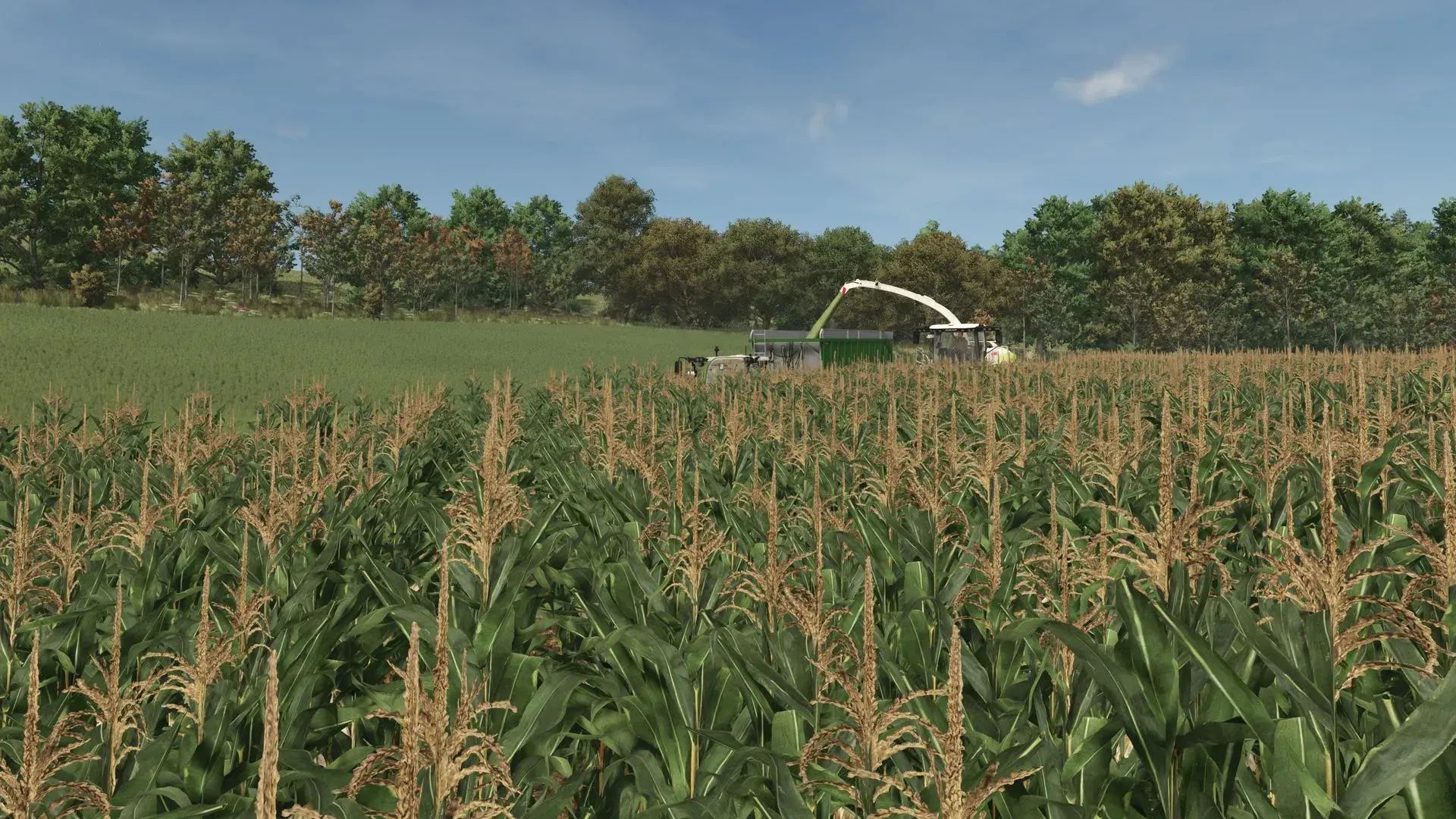 Improved Corn Texture V1.0.0.1