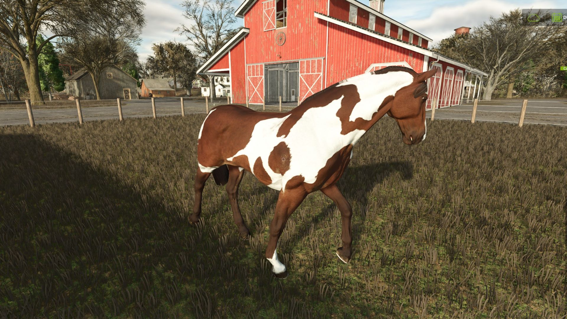 Increased value of the horse V1.0