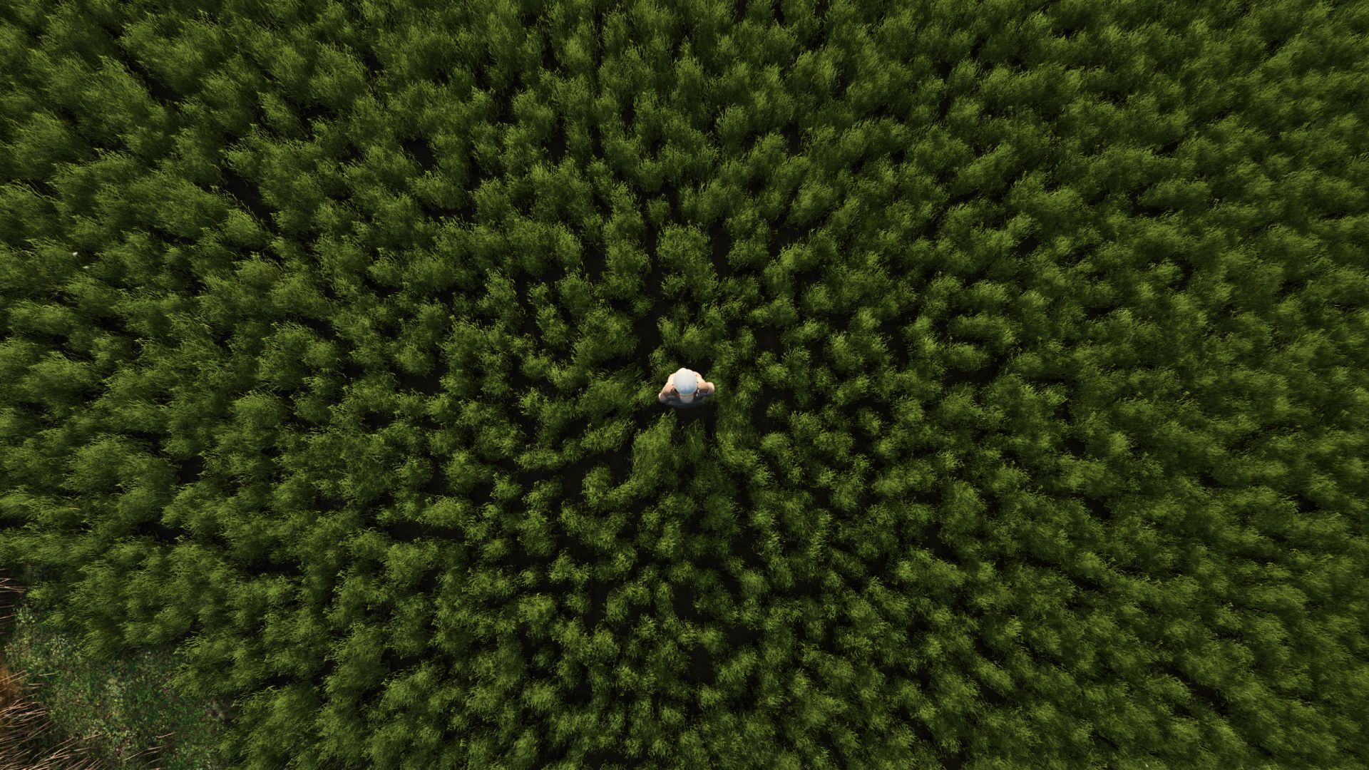 More beautiful grass V1.0