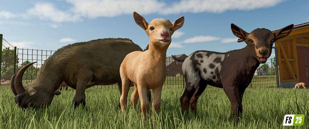 more-visual-animals-v1.0-1.jpg