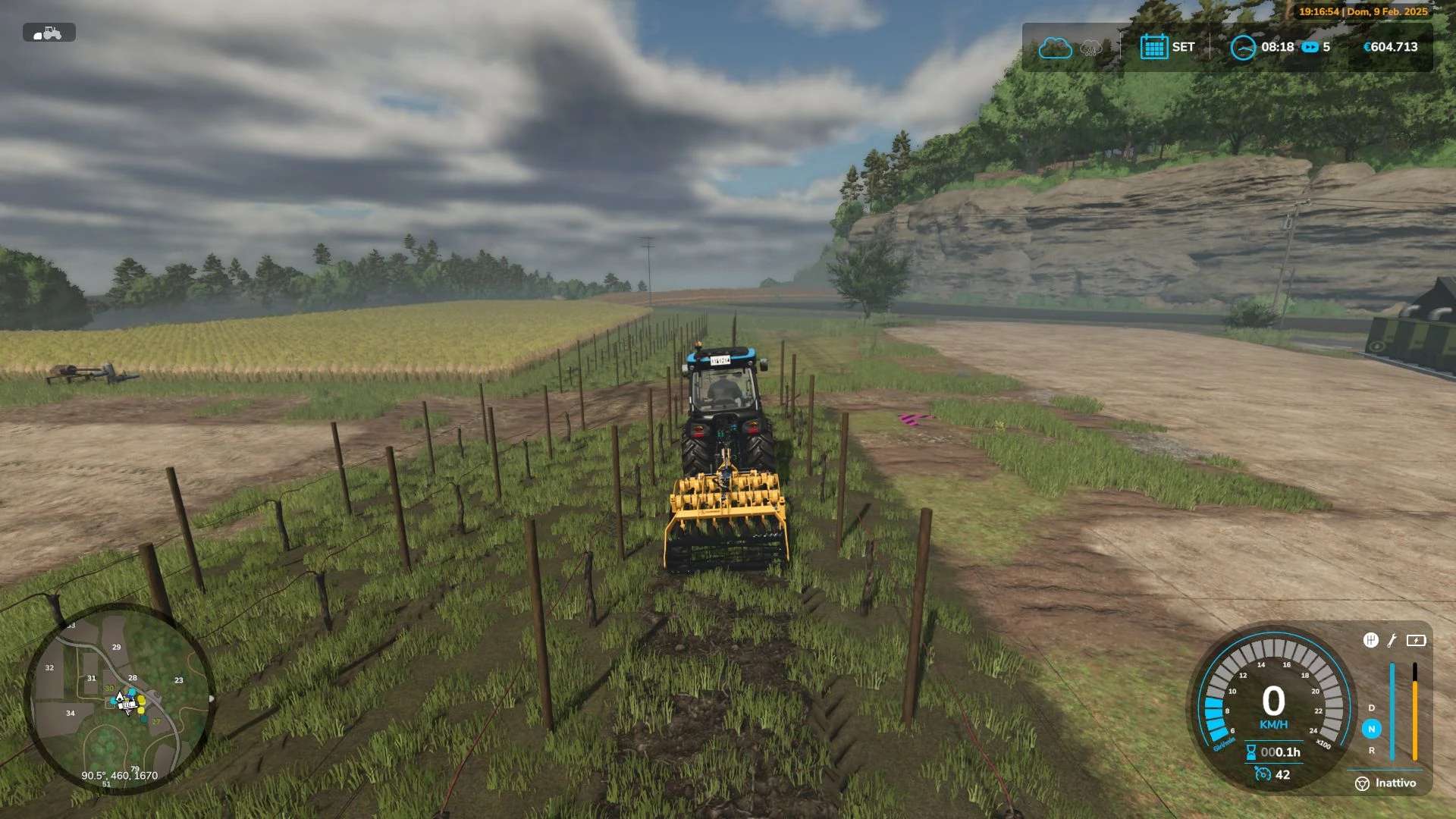 Narrow vines and olives v1.1
