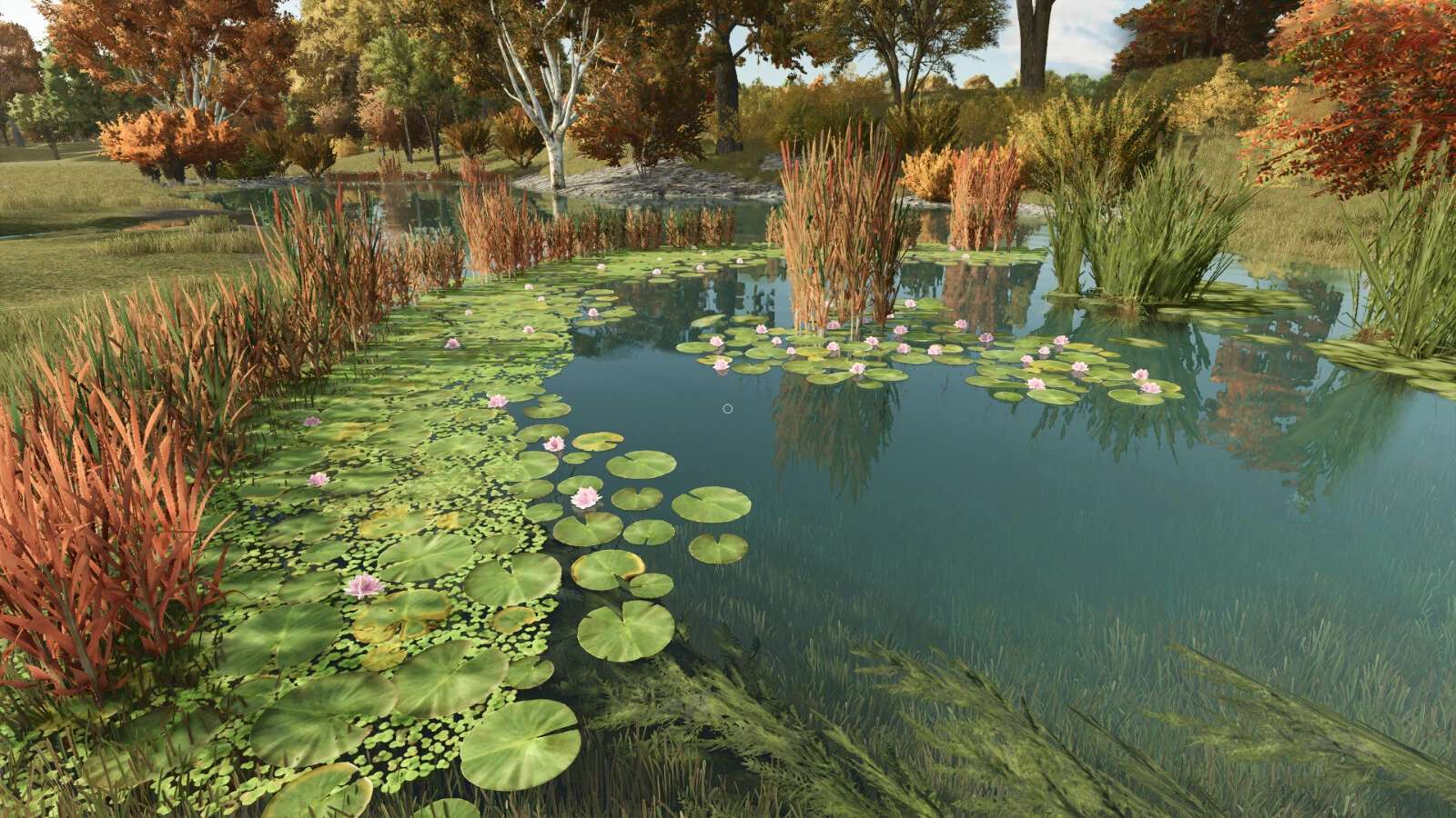 natural-waterplants-v1.0-1.jpg