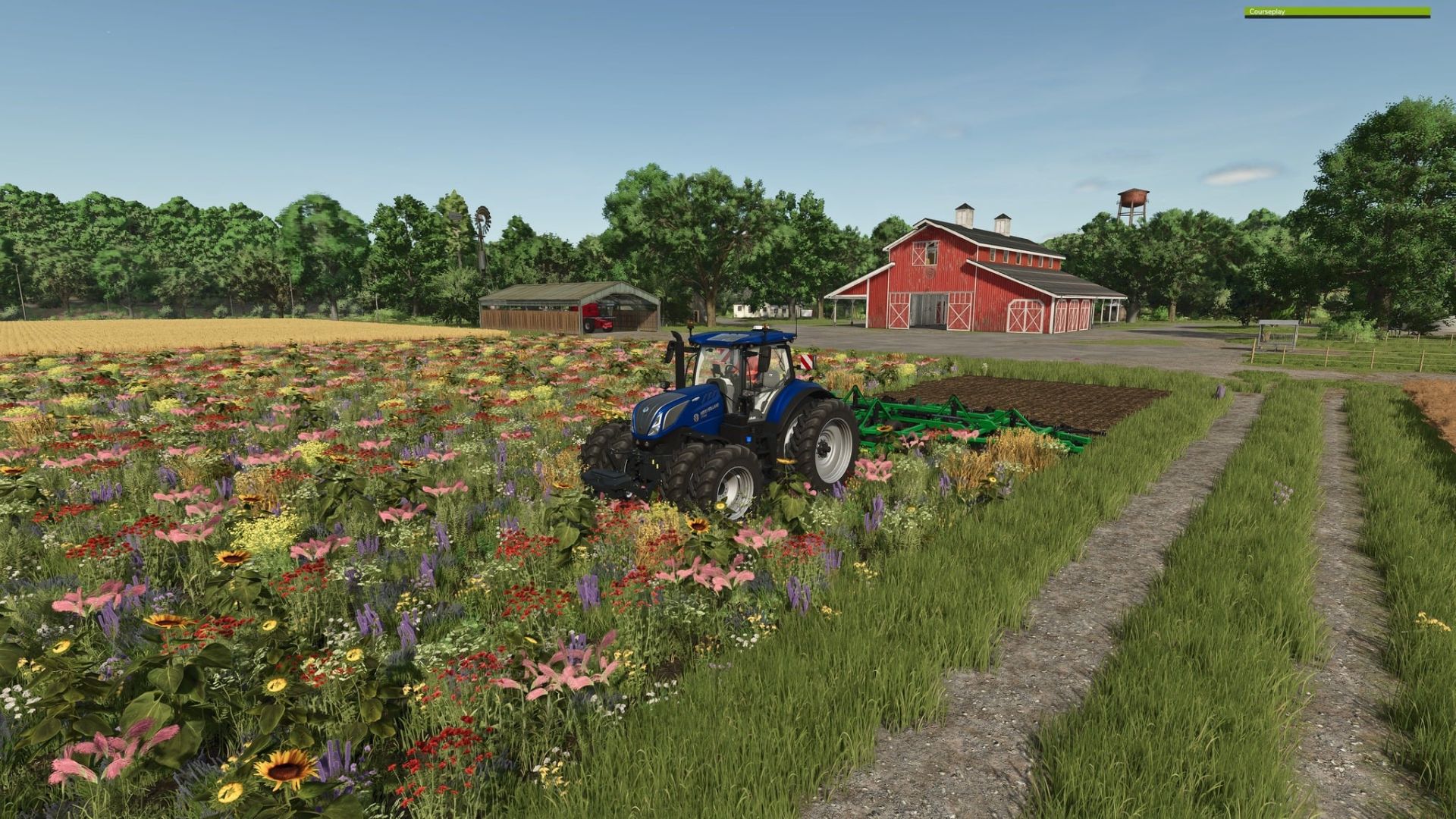 Oilseedradish Texture v1.0
