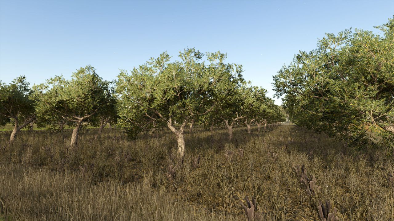 Olives + Olive Picker V1.0