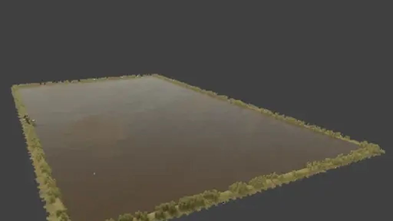 Rice field v1.0