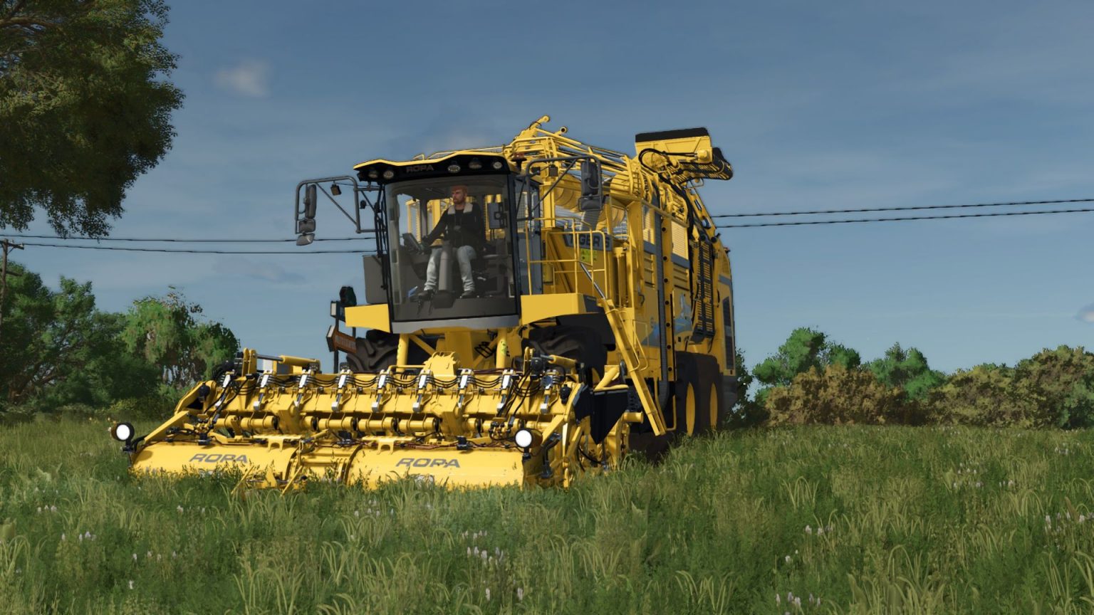 Ropa 6S 1.000.000L Multifruit V1.2