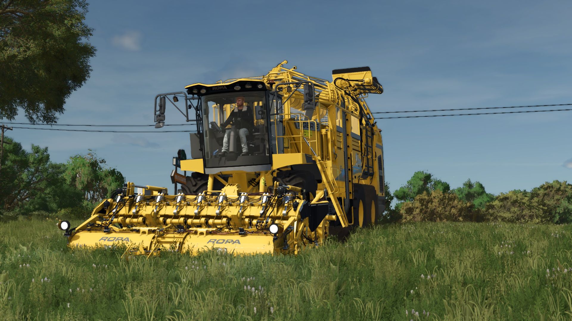 Ropa 6S 1.000.000L Multifruit V1.2