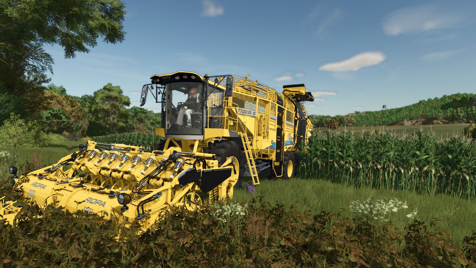 Ropa Tiger 6S (weight reduction/1,000,000L) v1.0