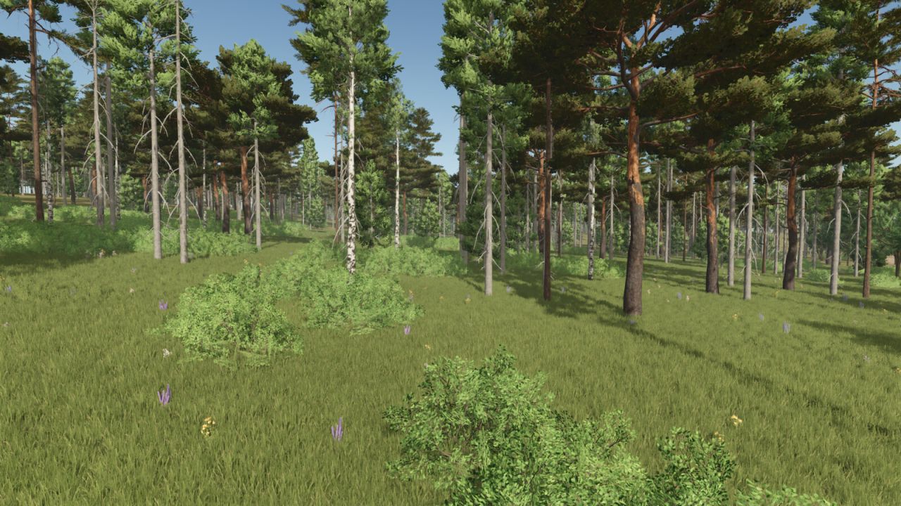 Silver Lake Forest V1.0