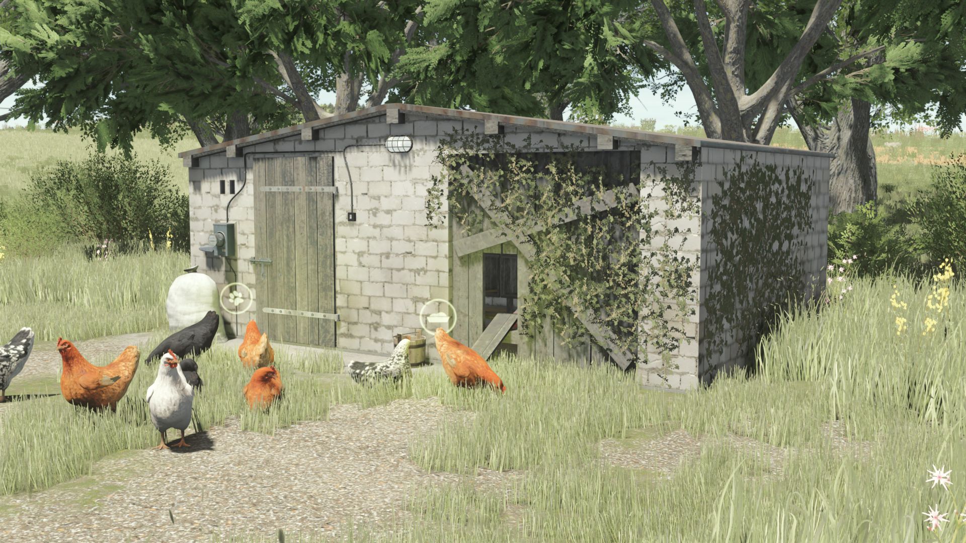 small-brick-chicken-coop-v1.0-1.jpg