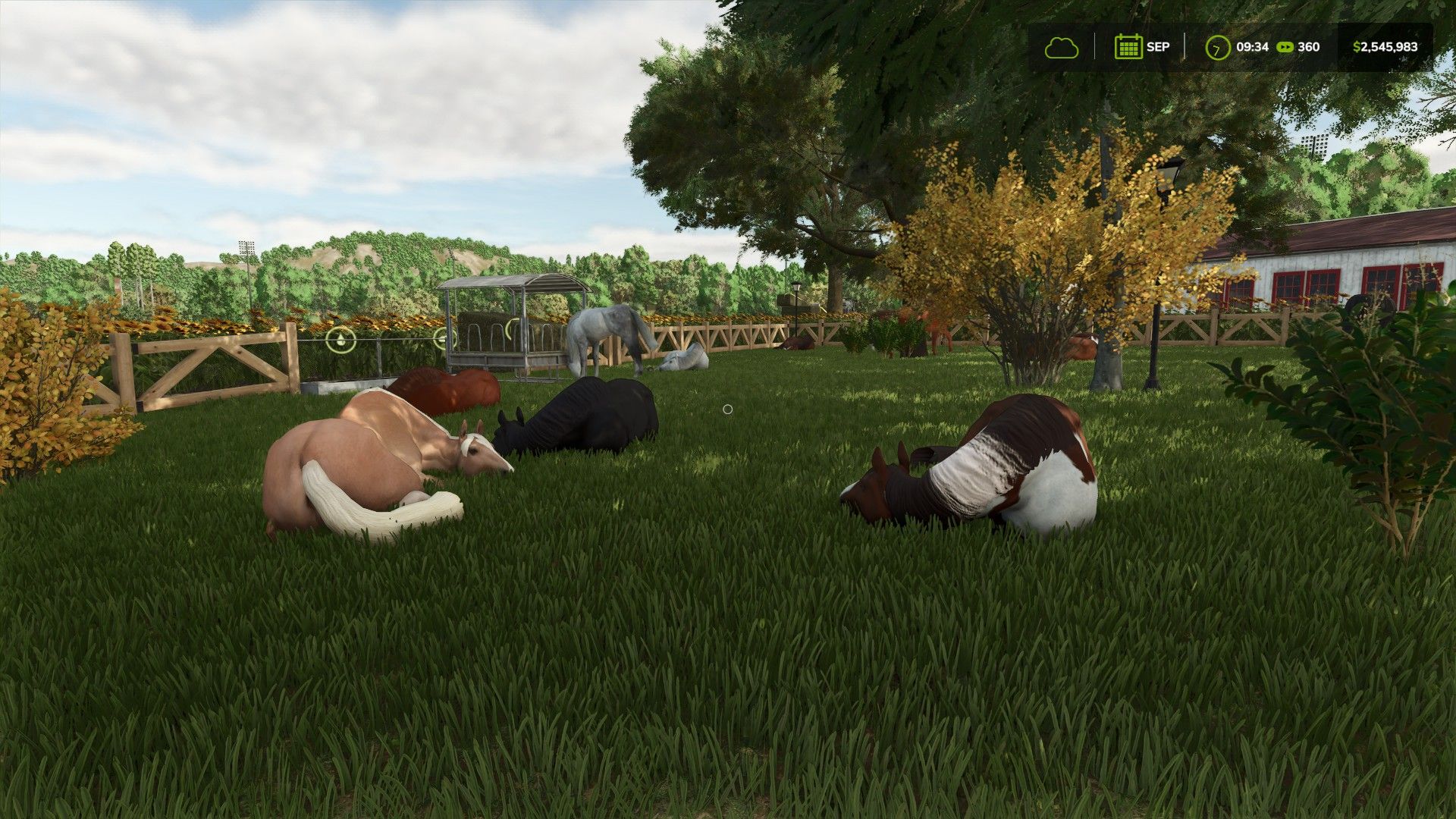 Small-Horse-Pasture-with-Wooden-Fence-AUTOWATER-v4.2-FS25-1.jpg