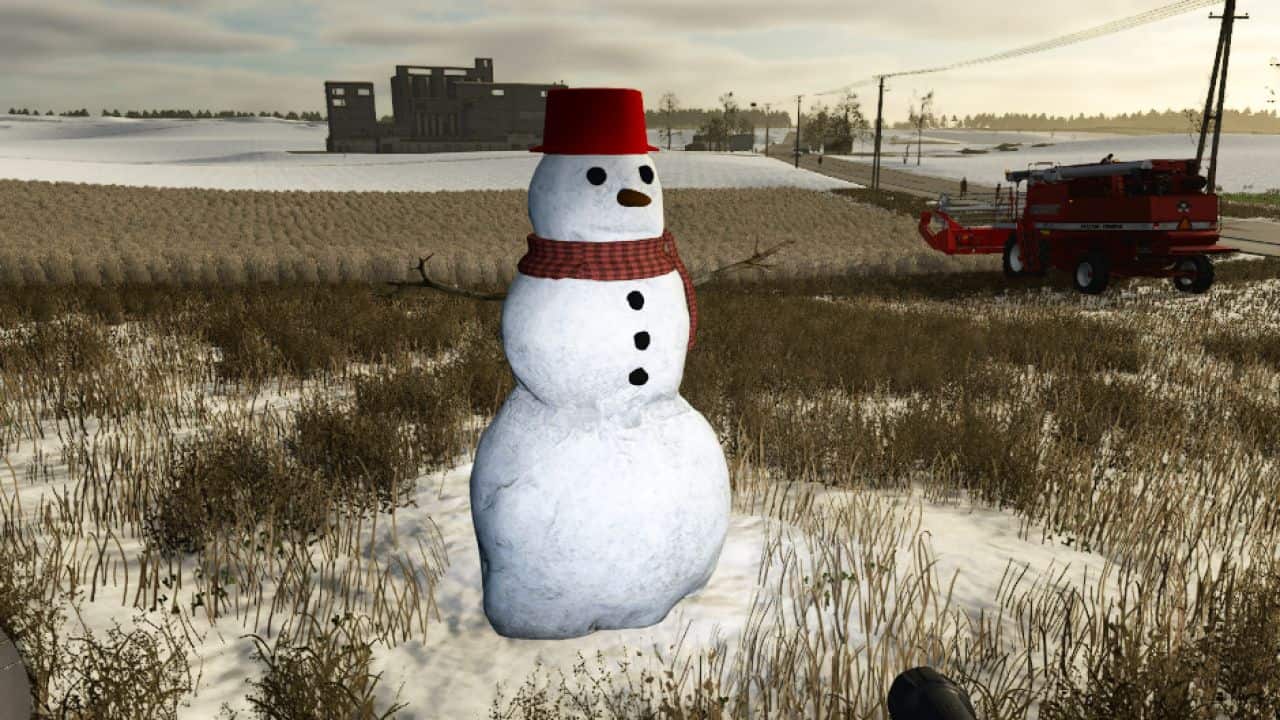 Snowman-v1.0-FS25.jpg