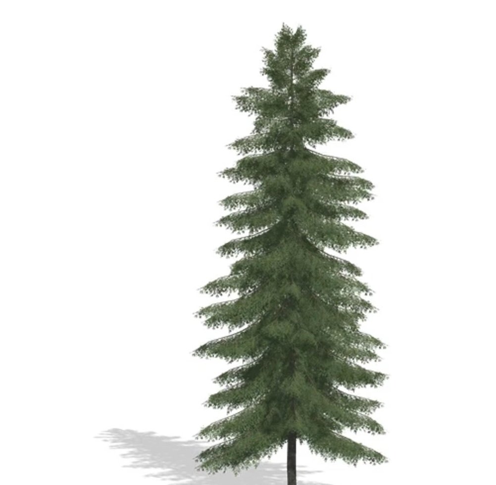 Spruce V1.0