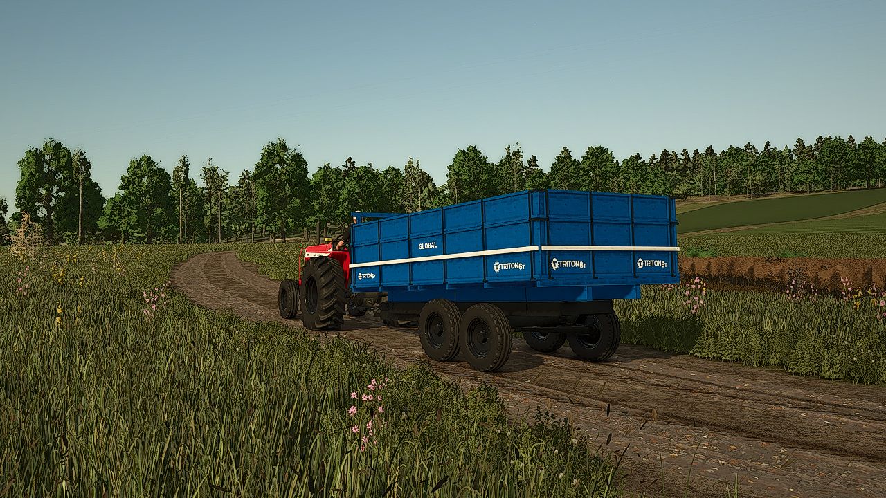 Triton 4T/6T v1.0