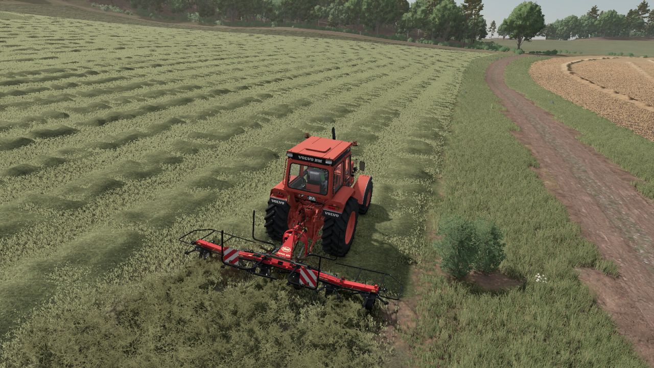 Vicon Fanex 604 V1.0