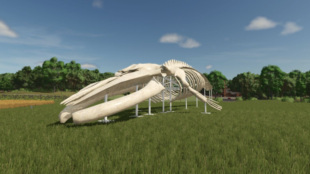 Whale Skeleton Sculpture V1.0